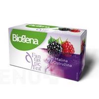 Biogena Fantastic Tea malina & ostružina 20x2,5 g