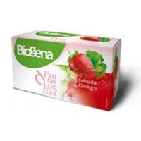 Biogena Fantastic Tea Jahoda & Ginkgo 20 x 2,5 g