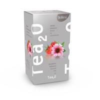 Biogena Tea2O Jahoda & Echinacea 20 sáčků