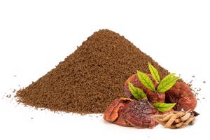 Čekanková káva s reishi a shatavari, 250g