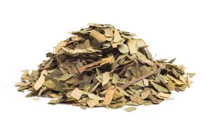 GINKGO LISTY - bylina, 10g