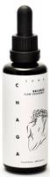 KÄÄPÄ Chaga Mushroom Tincture 30 ml