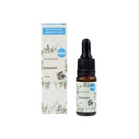Kvitok Pleťové sérum Bakuchiol 10 ml