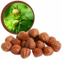 Lifefood Lískové oříšky BIO RAW 1000 g