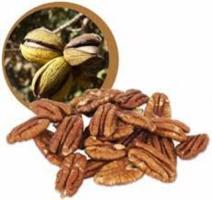 Lifefood Pekanové ořechy RAW BIO 500 g 1464G2 expirace
