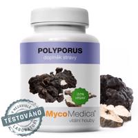MycoMedica Polyporus 90 tablet