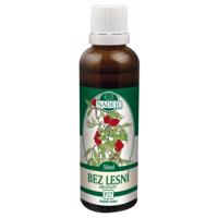Naděje - Podhorná Lesní bez hroznatý tinktura z pupenů 50 ml