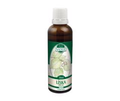 Naděje - Podhorná Líska tinktura z pupenů 50 ml