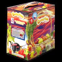 Ovocňák Pyré jablko - jahoda 3 l - expirace