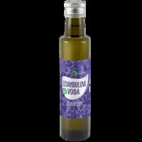 Purity Vision Levandulová voda BIO 250 ml