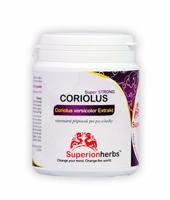 SUPERIONHERBS Coriolus versicolor Extrakt 50% polysacharidů 90 kapslí