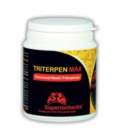 SUPERIONHERBS TRITERPEN MAX 90 kapslí