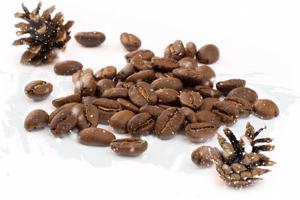 Vánoční espresso směs, 100g